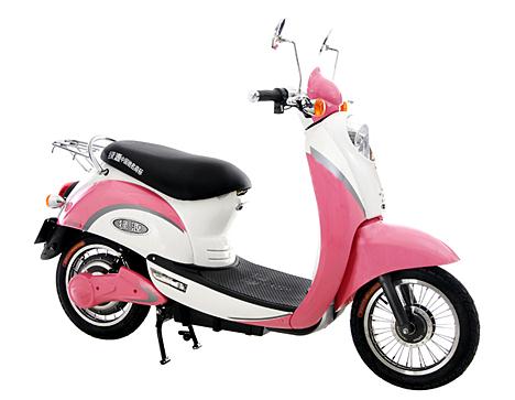 �綯������֪ʶ��ȫ_���ֱؿ�